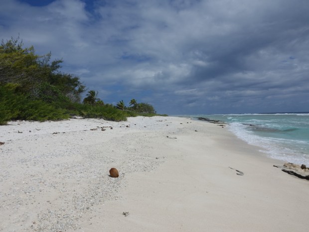 UNADJUSTEDNONRAW_thumb_f13f