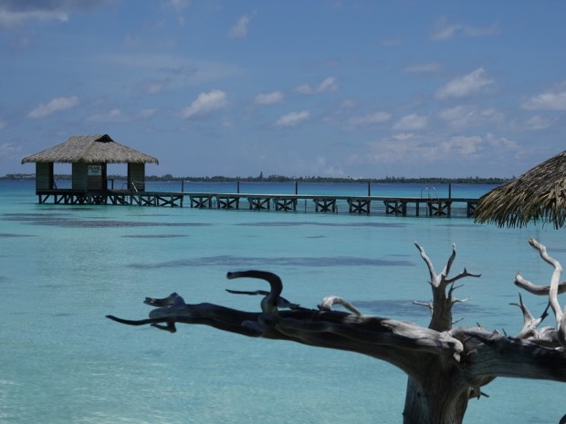 UNADJUSTEDNONRAW_thumb_f1b4