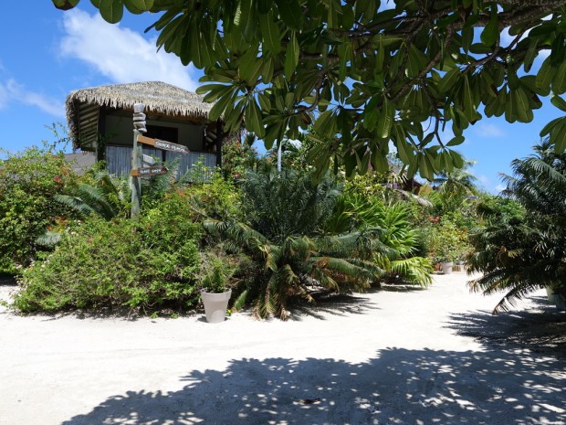 UNADJUSTEDNONRAW_thumb_f1d3