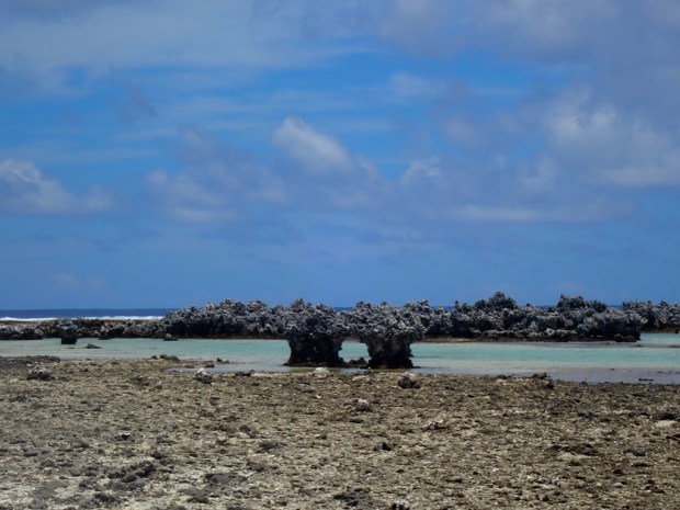 A4SG0RknRJ2HqUWPJ7iU+g_thumb_f31b