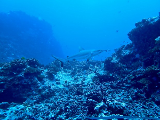 sojKPN92SgG1ryWhP9g_thumb_38d3