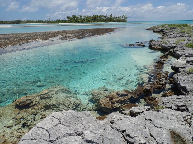 UNADJUSTEDNONRAW_thumb_f32a