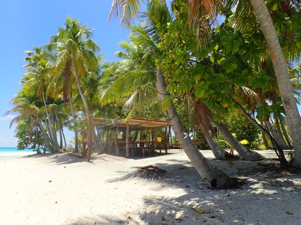 UNADJUSTEDNONRAW_thumb_f32f