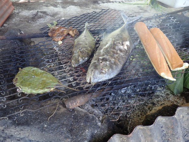 UNADJUSTEDNONRAW_thumb_f331