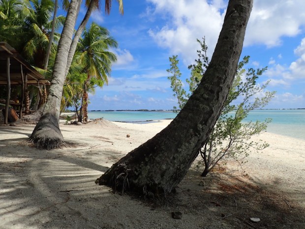 UNADJUSTEDNONRAW_thumb_f343