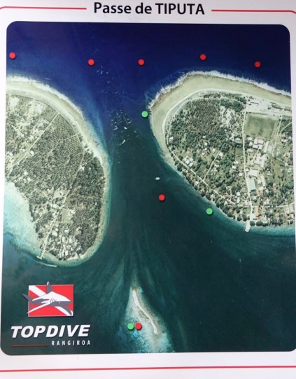 X48QWBN5Q5WO8lgpw49r4g_thumb_f137