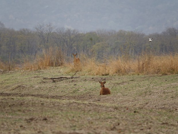 UNADJUSTEDNONRAW_thumb_f4ce