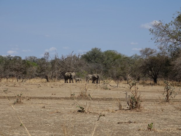 UNADJUSTEDNONRAW_thumb_f4fc