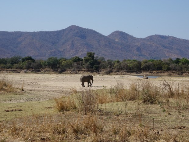 UNADJUSTEDNONRAW_thumb_f4ff