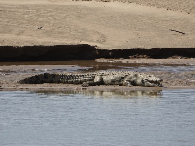 UNADJUSTEDNONRAW_thumb_f511