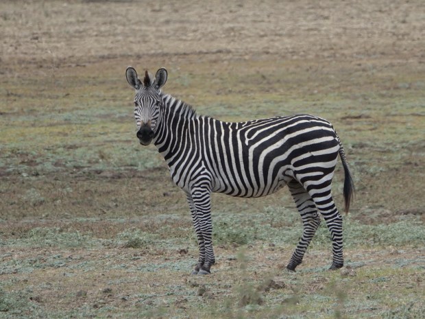 UNADJUSTEDNONRAW_thumb_f52c