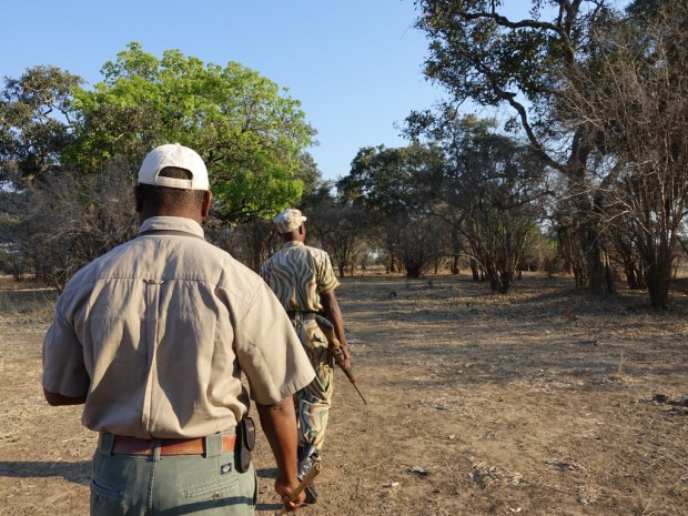 UNADJUSTEDNONRAW_thumb_f5ec