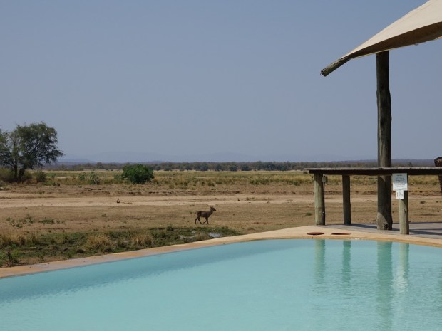 UNADJUSTEDNONRAW_thumb_f8bc