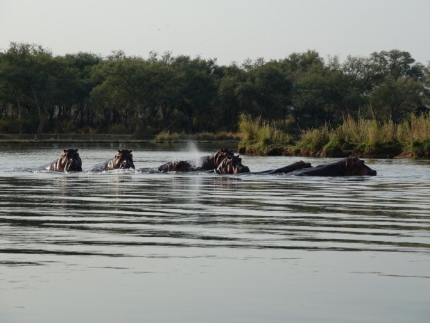 UNADJUSTEDNONRAW_thumb_f91f