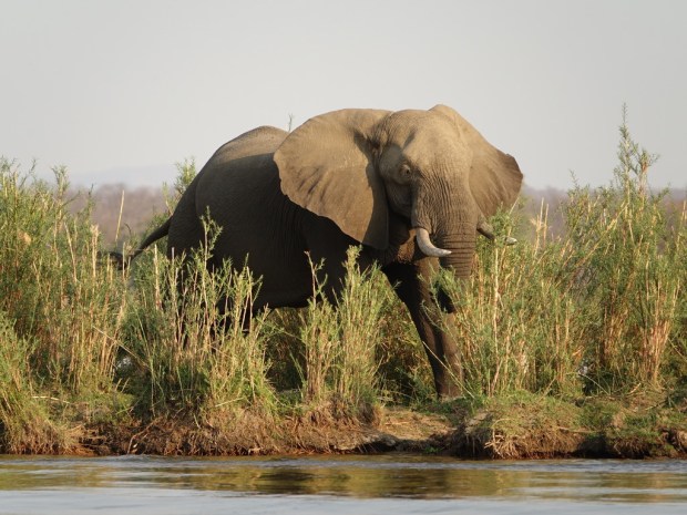 UNADJUSTEDNONRAW_thumb_f932