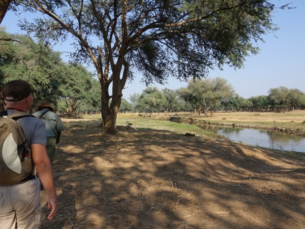 UNADJUSTEDNONRAW_thumb_f9a3