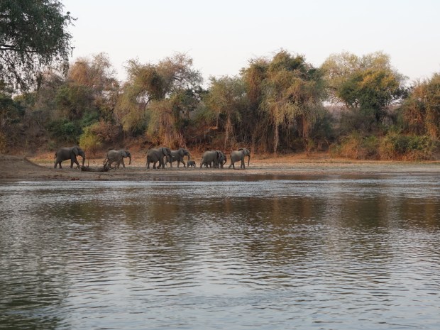 UNADJUSTEDNONRAW_thumb_fb9c