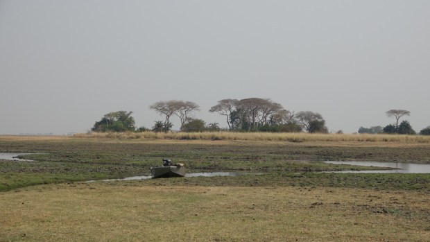 UNADJUSTEDNONRAW_thumb_10088