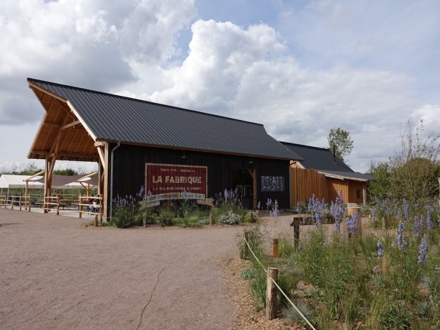 UNADJUSTEDNONRAW_thumb_10172