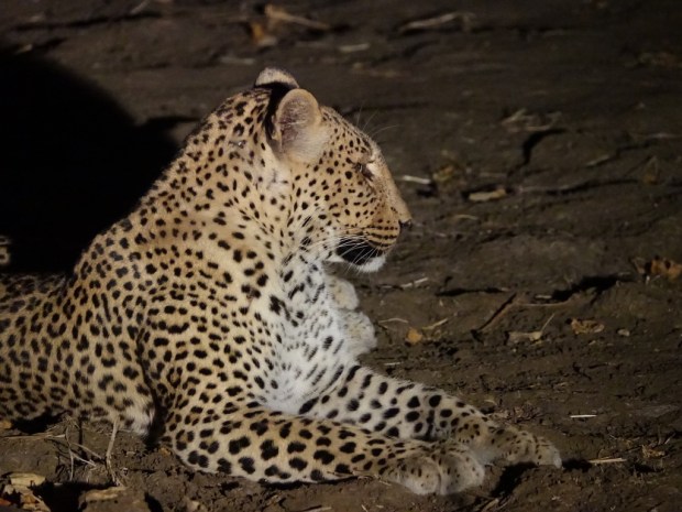 UNADJUSTEDNONRAW_thumb_f986