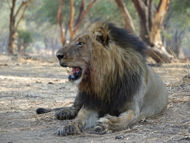 UNADJUSTEDNONRAW_thumb_fad7