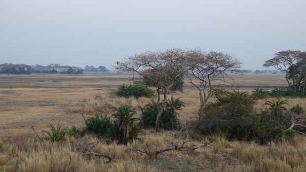 UNADJUSTEDNONRAW_thumb_fcfb