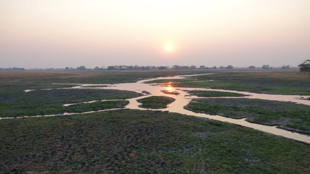 UNADJUSTEDNONRAW_thumb_fd19