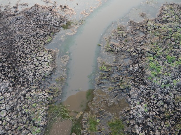 UNADJUSTEDNONRAW_thumb_fd4e