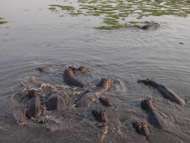 UNADJUSTEDNONRAW_thumb_fdc6