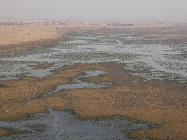 UNADJUSTEDNONRAW_thumb_fdd2