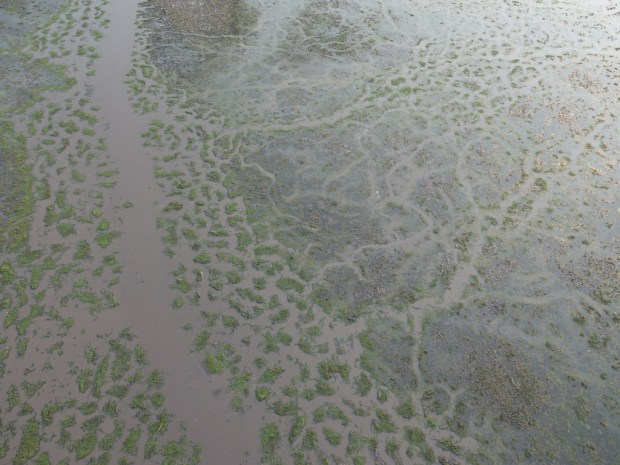 UNADJUSTEDNONRAW_thumb_fdd4