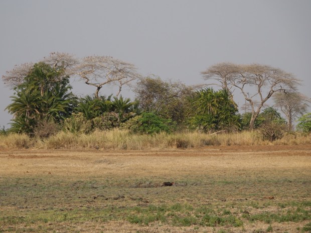 UNADJUSTEDNONRAW_thumb_fe8c