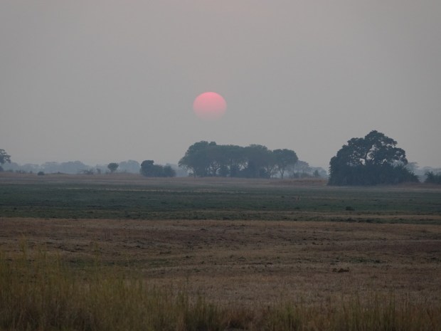 UNADJUSTEDNONRAW_thumb_feae