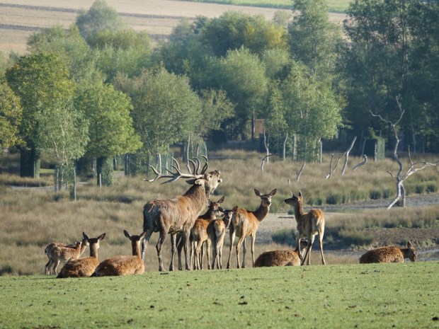 B5A3D26C-7779-4E97-BC1E-16AC27AAF2F7_1_105_c