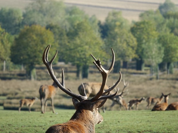 DF1427E8-C358-4EC4-9BBA-28BC96FF3F33_1_105_c