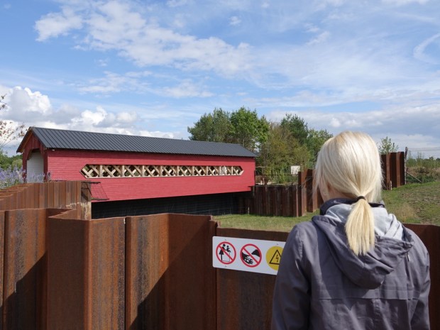 UNADJUSTEDNONRAW_thumb_10174