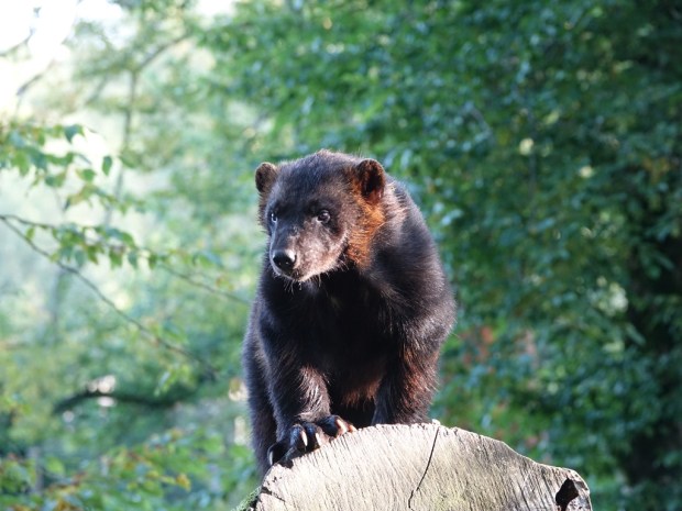 UNADJUSTEDNONRAW_thumb_1034b