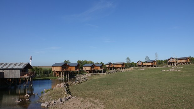 UNADJUSTEDNONRAW_thumb_10393