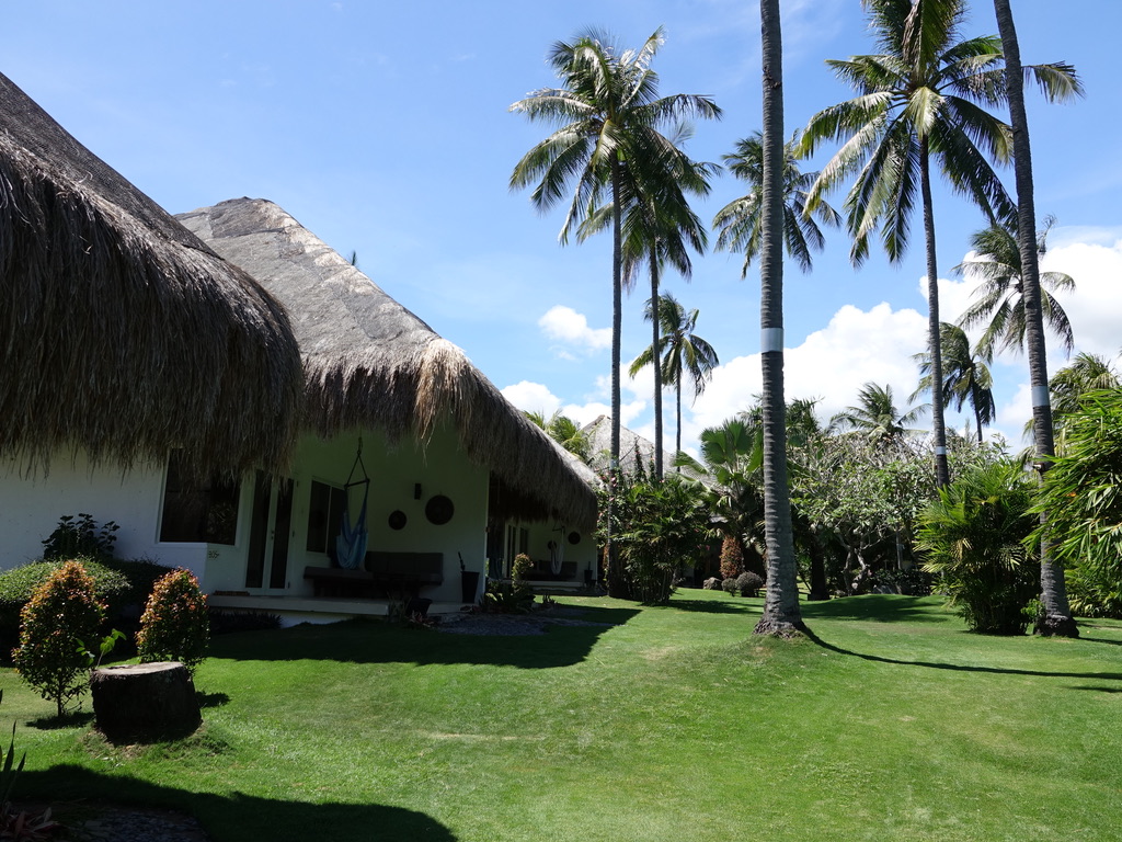 UNADJUSTEDNONRAW_thumb_48d6