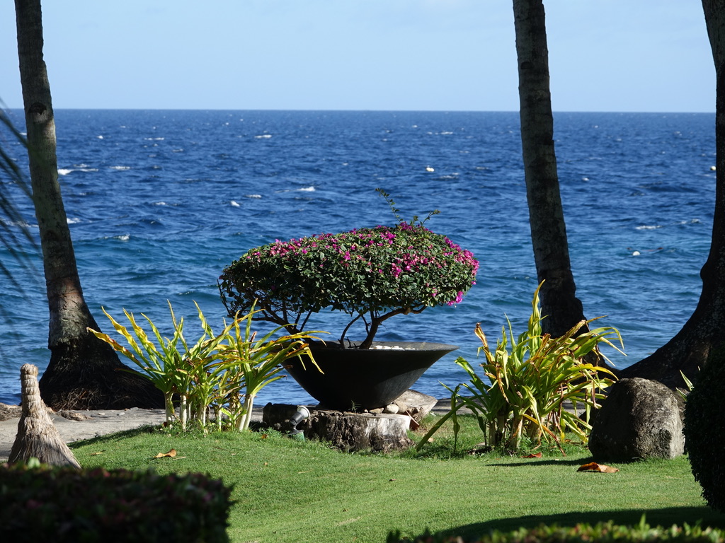 UNADJUSTEDNONRAW_thumb_48e4