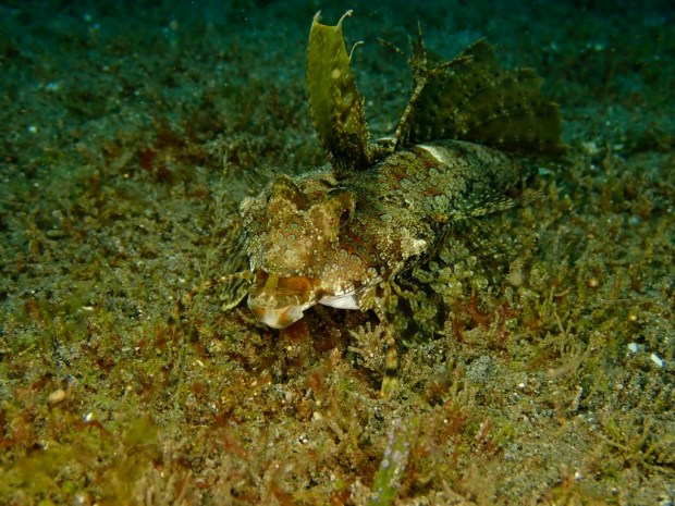 tvVcYv2CQQevxk9mU9b6rw_thumb_4c00