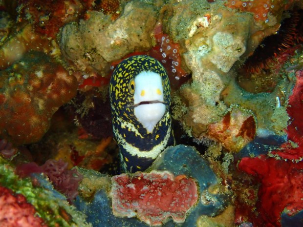 UNADJUSTEDNONRAW_thumb_49f4