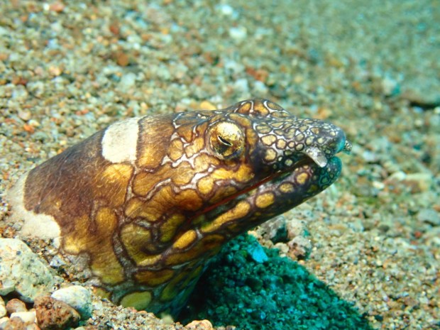 UNADJUSTEDNONRAW_thumb_4b41