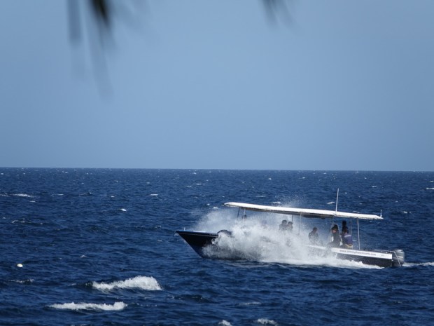 UNADJUSTEDNONRAW_thumb_4c76