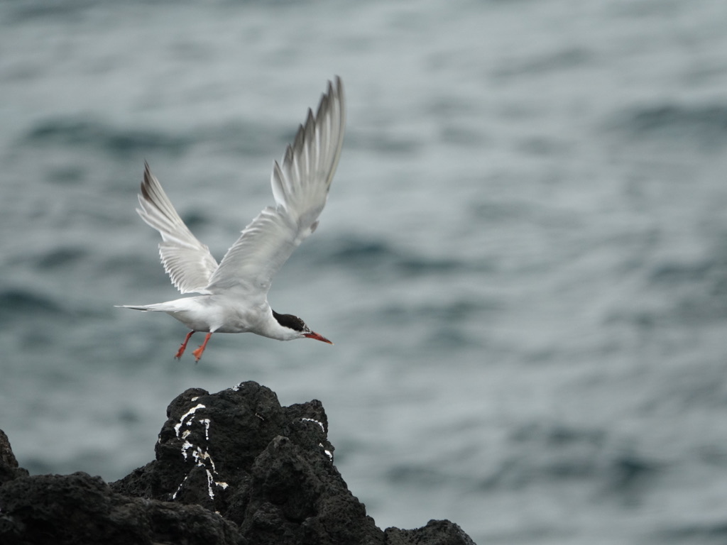 Cette image a un attribut alt vide ; le nom du fichier est unadjustednonraw_thumb_7433.jpg